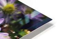 Daisies II HD Metal print