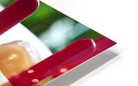 Popsicles II HD Metal print