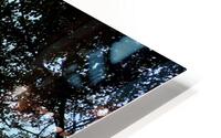 Up in the tree I HD Metal print