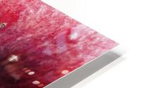 Another deep look HD Metal print