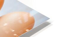 Easter eggs HD Metal print