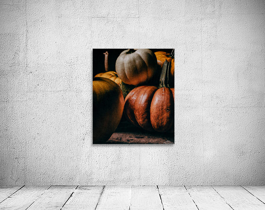 Pumpkins on dark background II Wall Preview