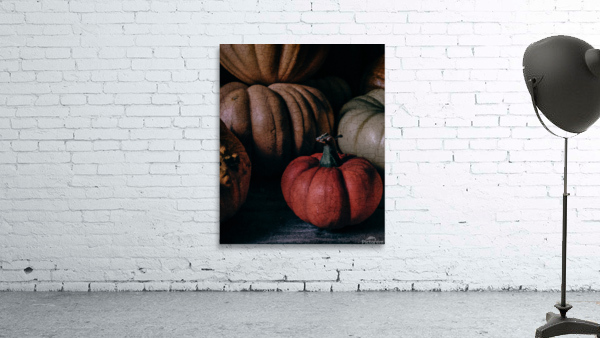 Pumpkins on dark background I Wall Preview