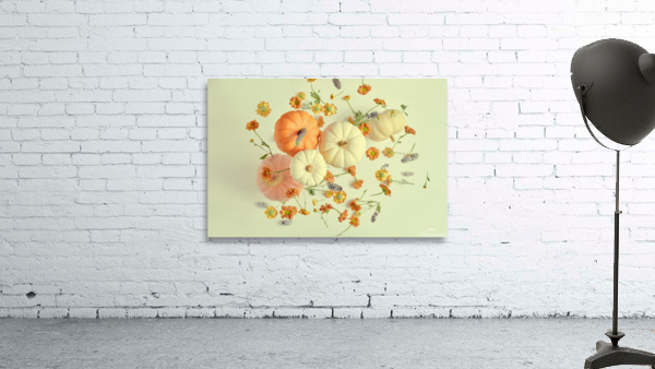 Floating pumpkin I  Wall Preview