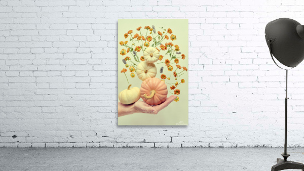 Floating pumpkin II Wall Preview