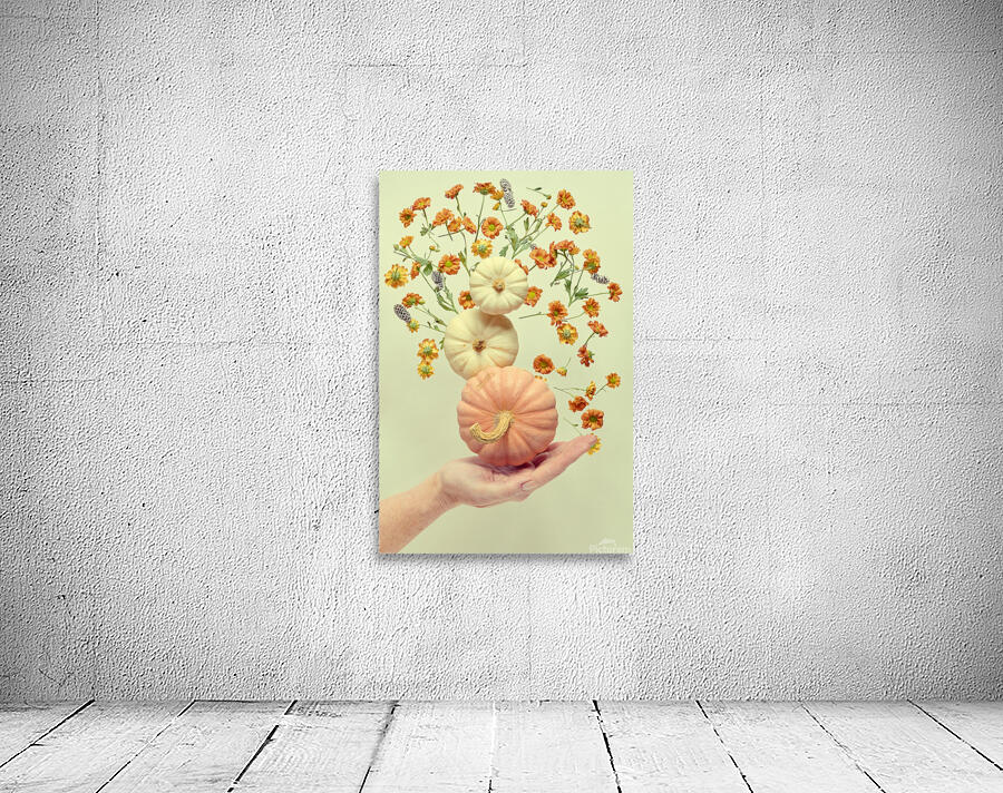 Floating pumpkin III Wall Preview