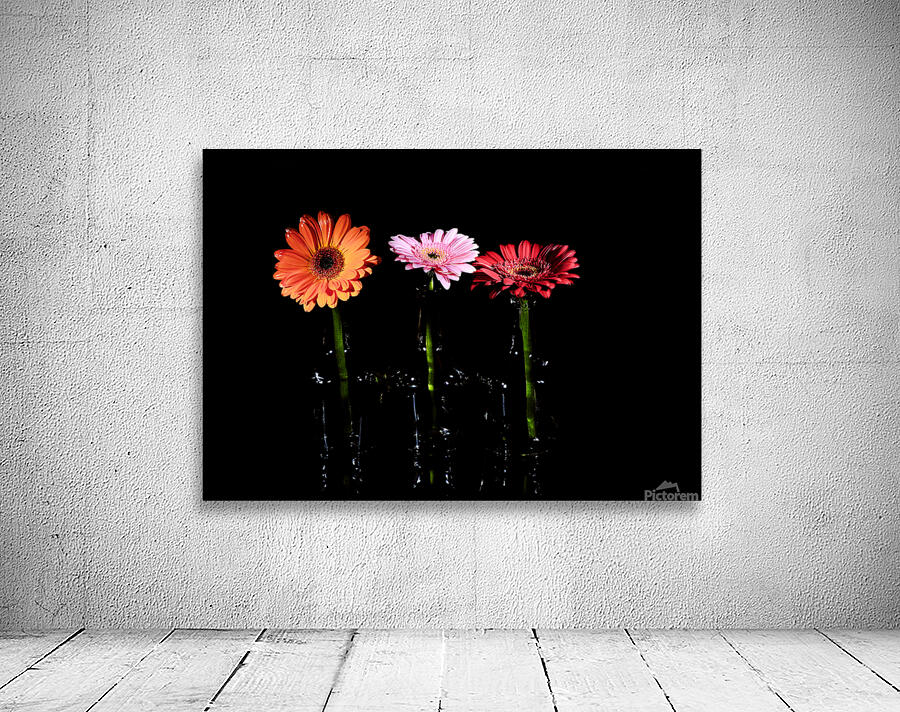 Orange pink red Wall Preview