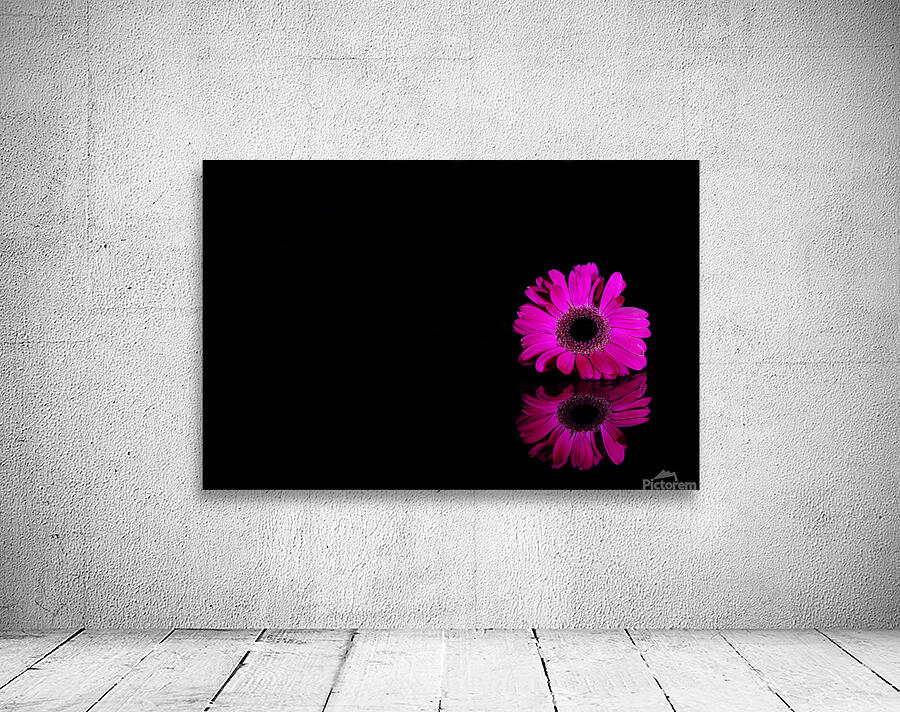 Pink gerbera Wall Preview