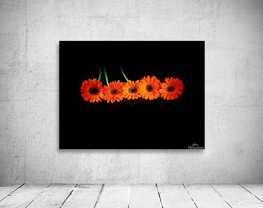 More orange Wall Preview