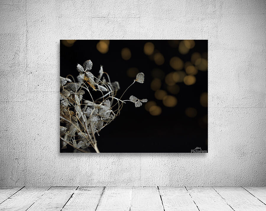 Reaching out Wall Preview