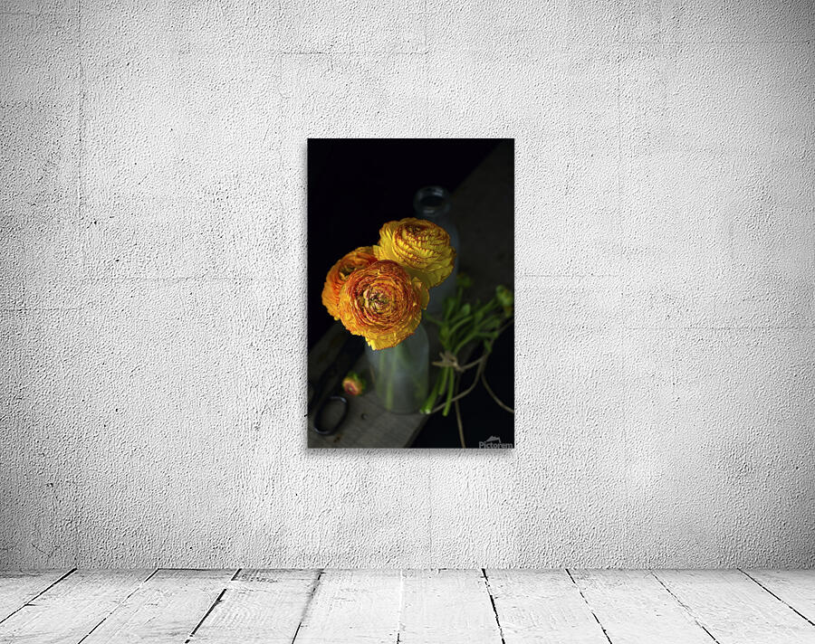 Ranunculus III Aperçu sur mur