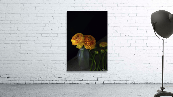 Ranunculus I Wall Preview