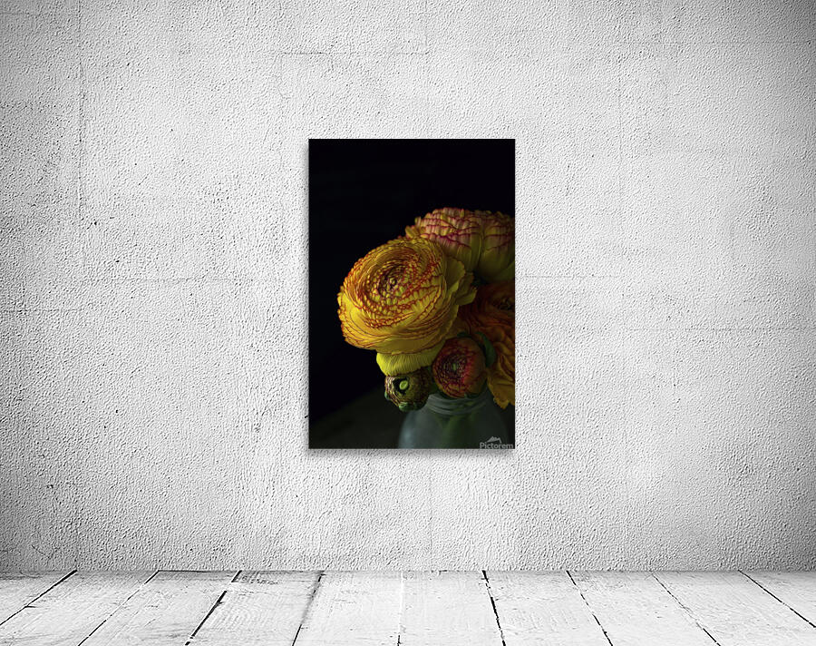 Ranunculus II Wall Preview