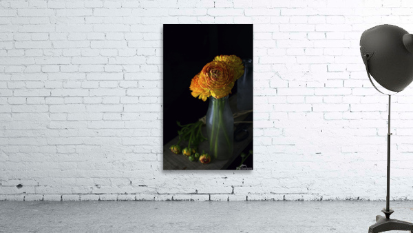 Ranunculus IV Wall Preview