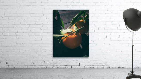 Tangerine II Wall Preview
