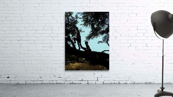 Up in the tree I Wall Preview