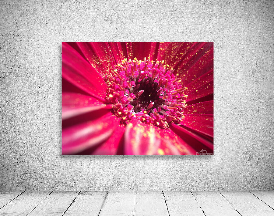 Pink Gerbera Wall Preview