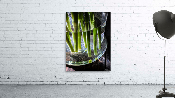 Green stems Wall Preview