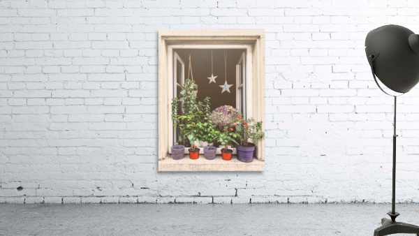 Plants galore Wall Preview