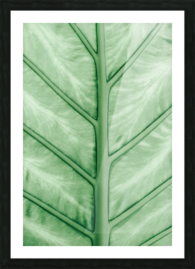 Pastel leaf veins Picture Frame print