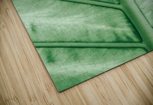 Pastel leaf veins Andreea Ligia puzzle