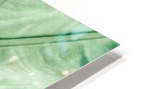 Pastel leaf veins HD Metal print