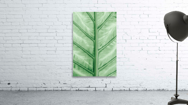 Pastel leaf veins Wall Preview