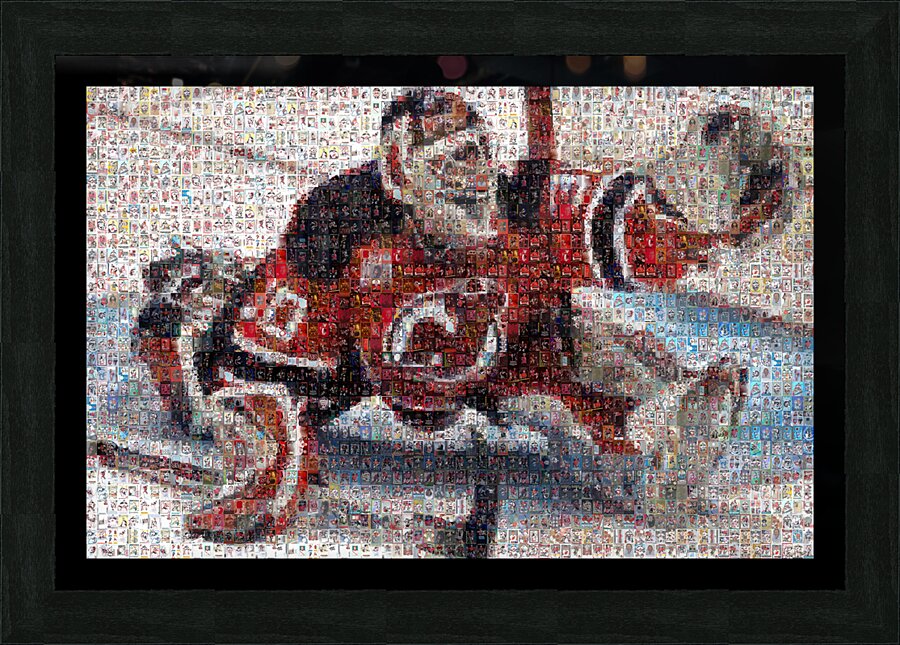2208 Martin Brodeur Picture Frame print
