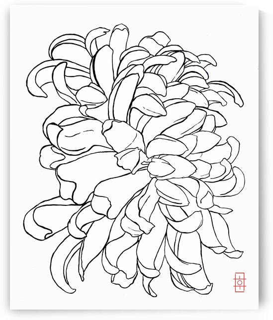 Mum White Background 1 by CK Shin