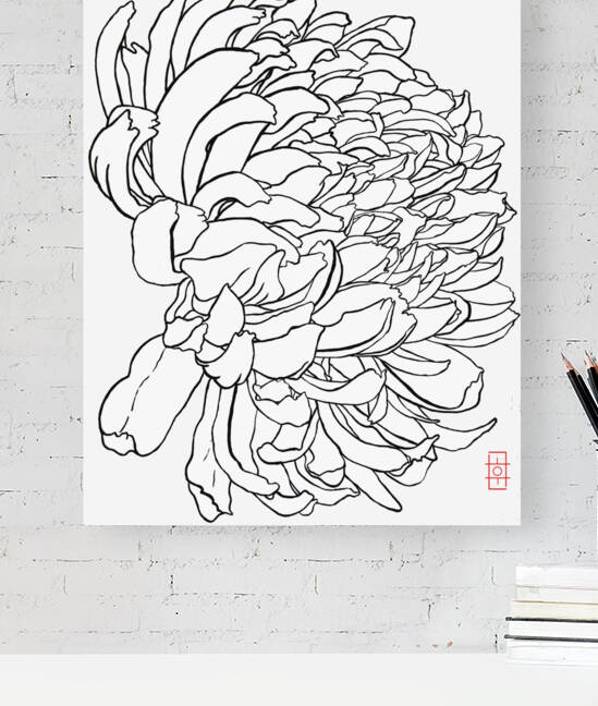 Mum Whtie Background 3 by CK Shin