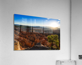  DSC0480 Acrylic Print