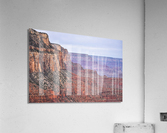 DSC 0051 Acrylic Print