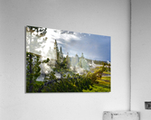 DSC 0541 Acrylic Print