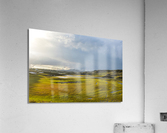 DSC 0553 Acrylic Print