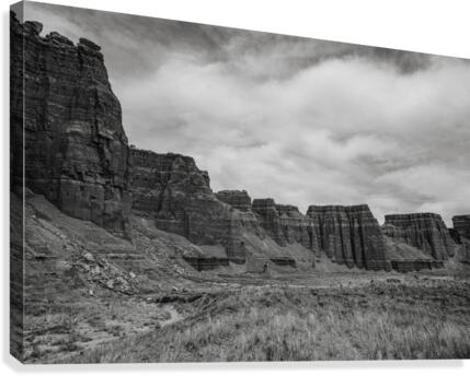  DSC0703 Canvas Print