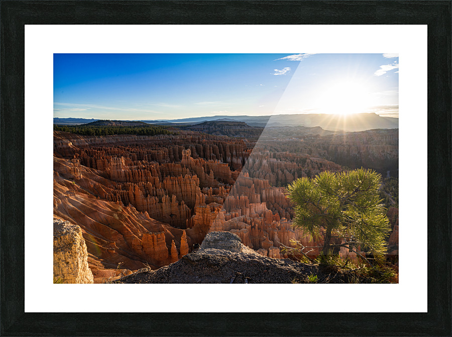  DSC0480 Picture Frame print