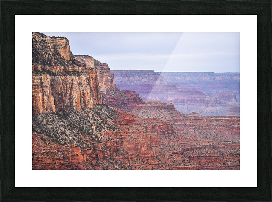 DSC 0051 Picture Frame print