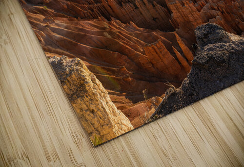  DSC0480 Chris Stricker Photography puzzle