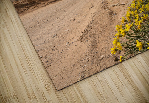  DSC0733 Chris Stricker Photography puzzle