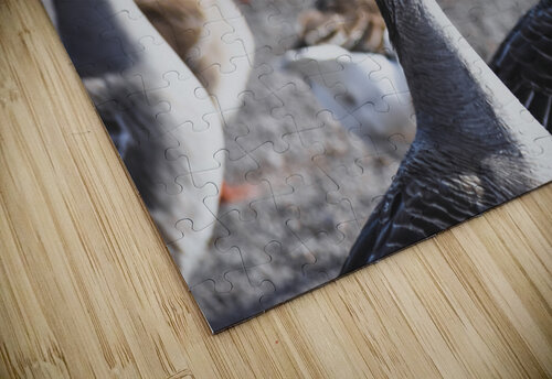 DSC 0115 Chris Stricker Photography puzzle