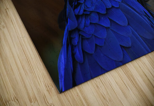 DSC 0320 Chris Stricker Photography puzzle