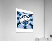 The Prodigy 2 Acrylic Print