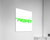 The Prodigy 12 Acrylic Print