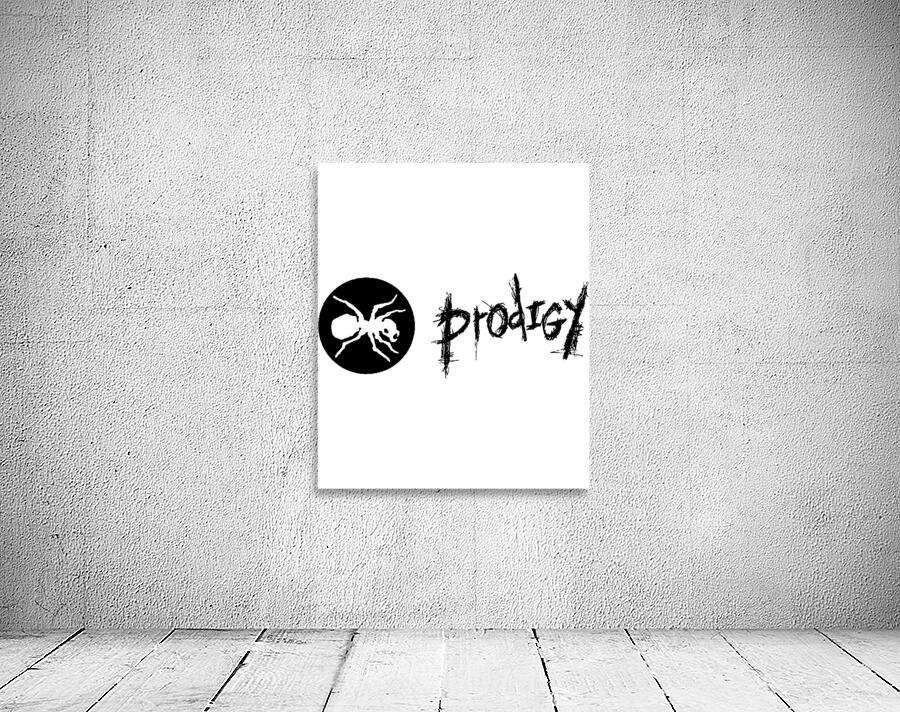 The Prodigy 40 Wall Preview