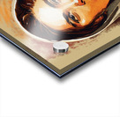 BiBi gulab kaur Acrylic print