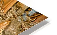 Jagged Gold HD Metal print
