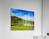 Green rice terraces Acrylic Print
