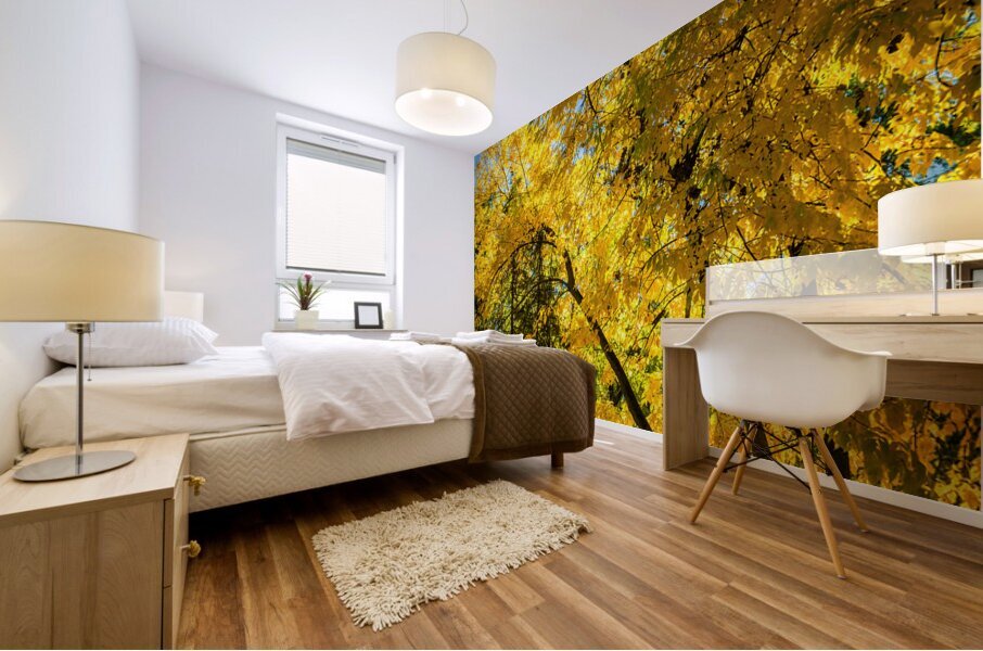 Autumn in park Mural print