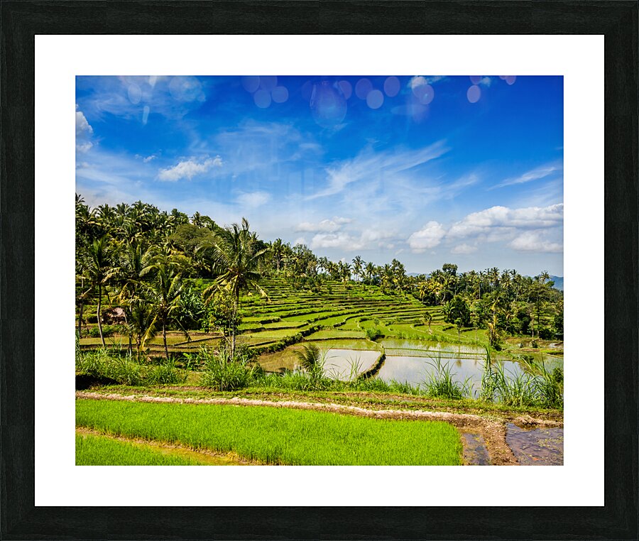 Green rice terraces Picture Frame print
