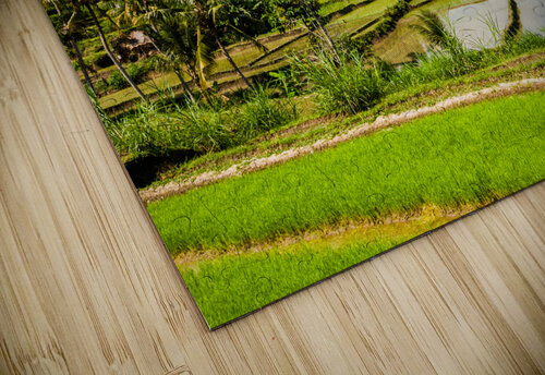 Green rice terraces Dmitry Rukhlenko puzzle